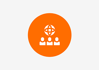 Role of Board Committees Role of Board Committees